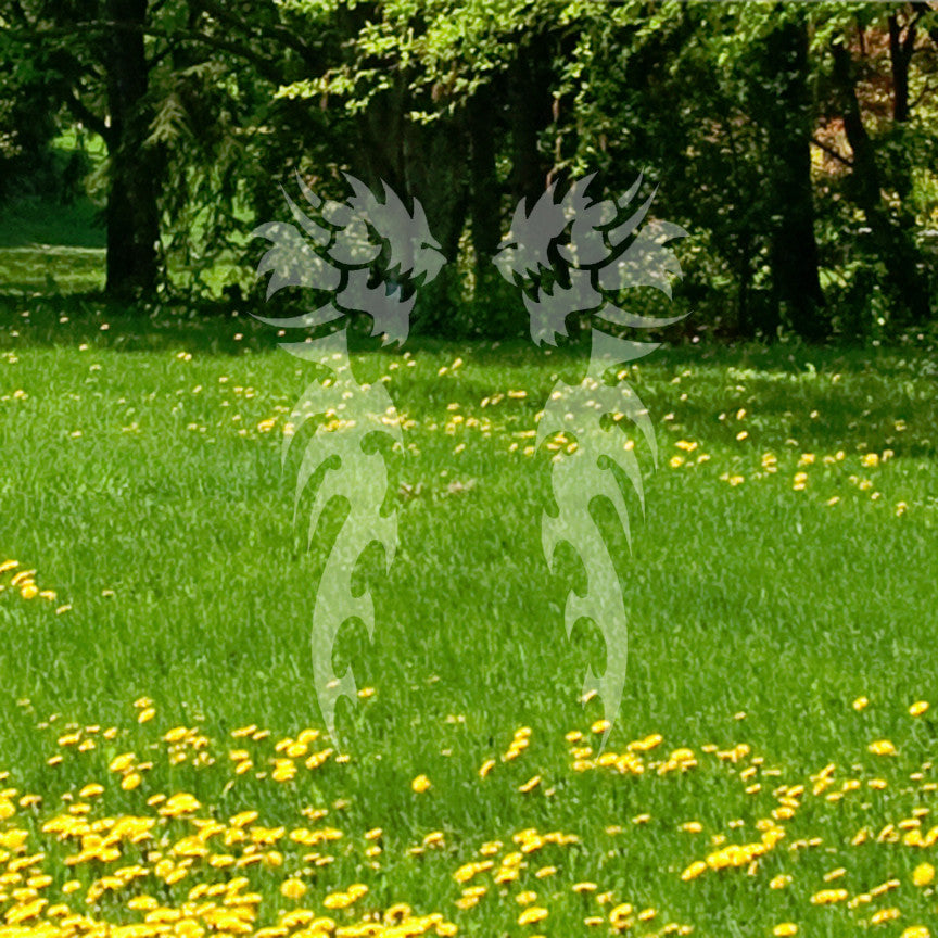 Pair of Spike Dragons