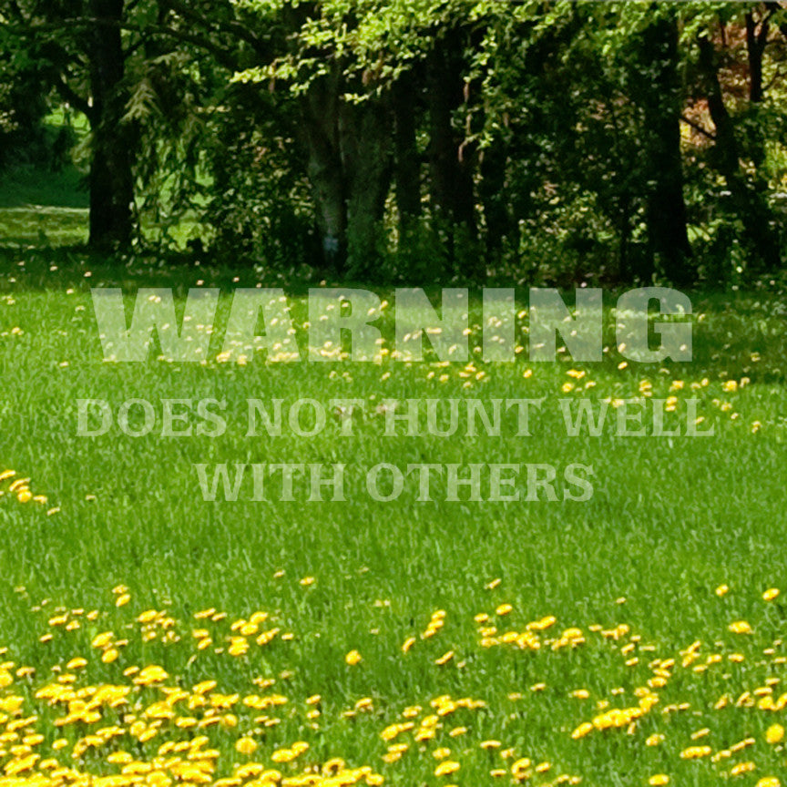 Does Not Hunt Well With Others