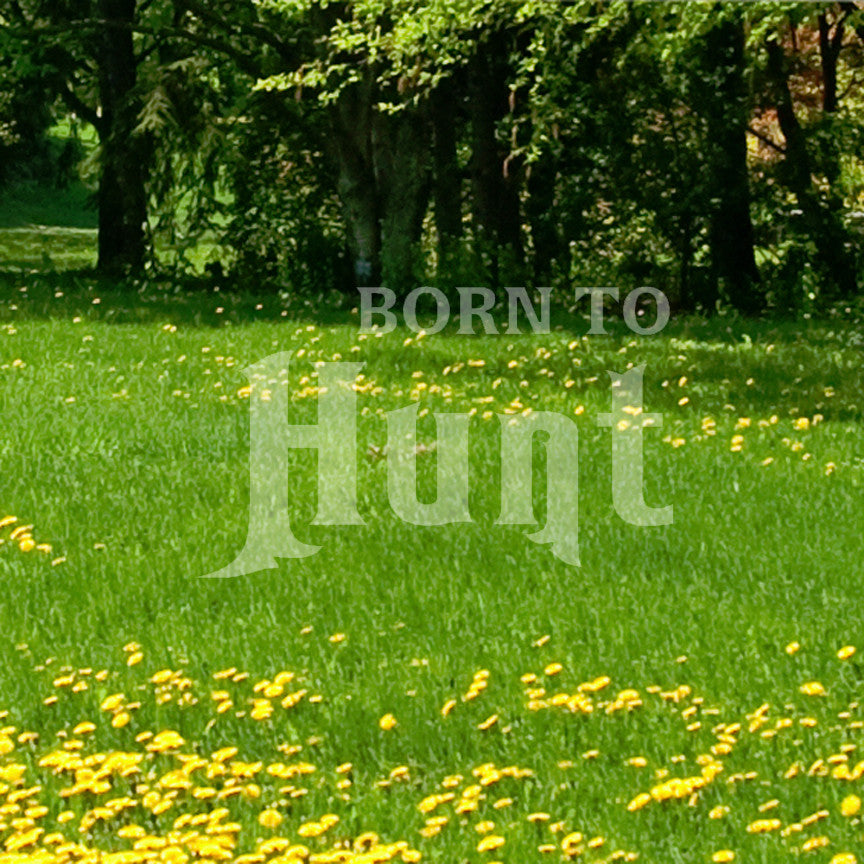 Born To Hunt