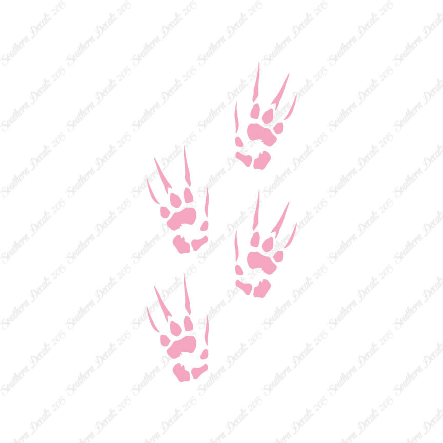 Dragon Paw Prints Claw Marks