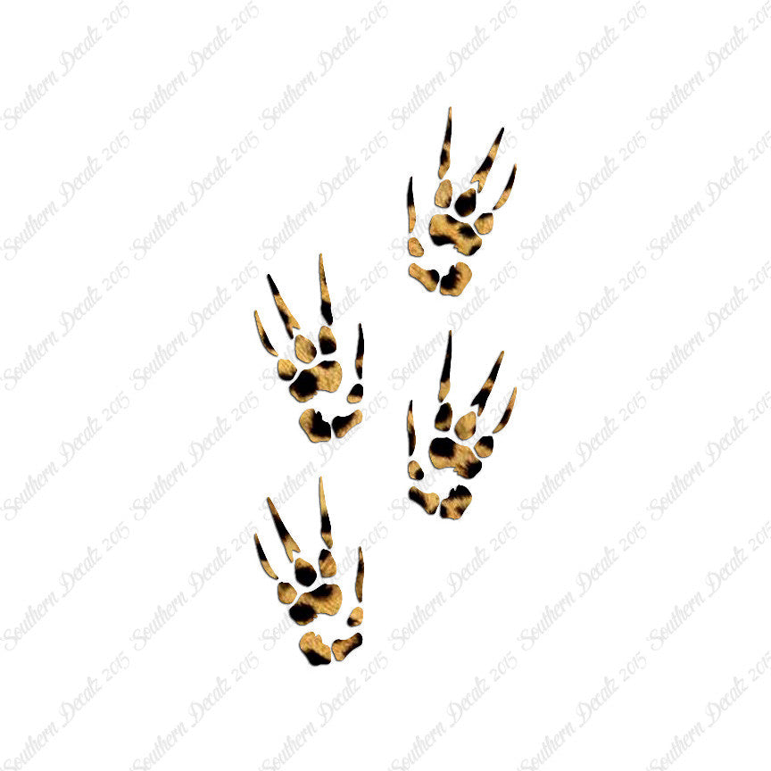 Dragon Paw Prints Claw Marks