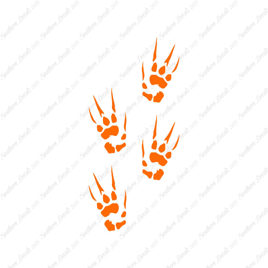 Dragon Paw Prints Claw Marks
