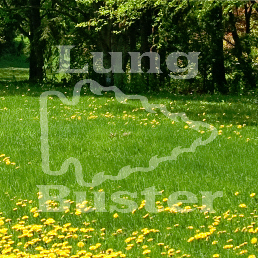 Lung Buster Fishing