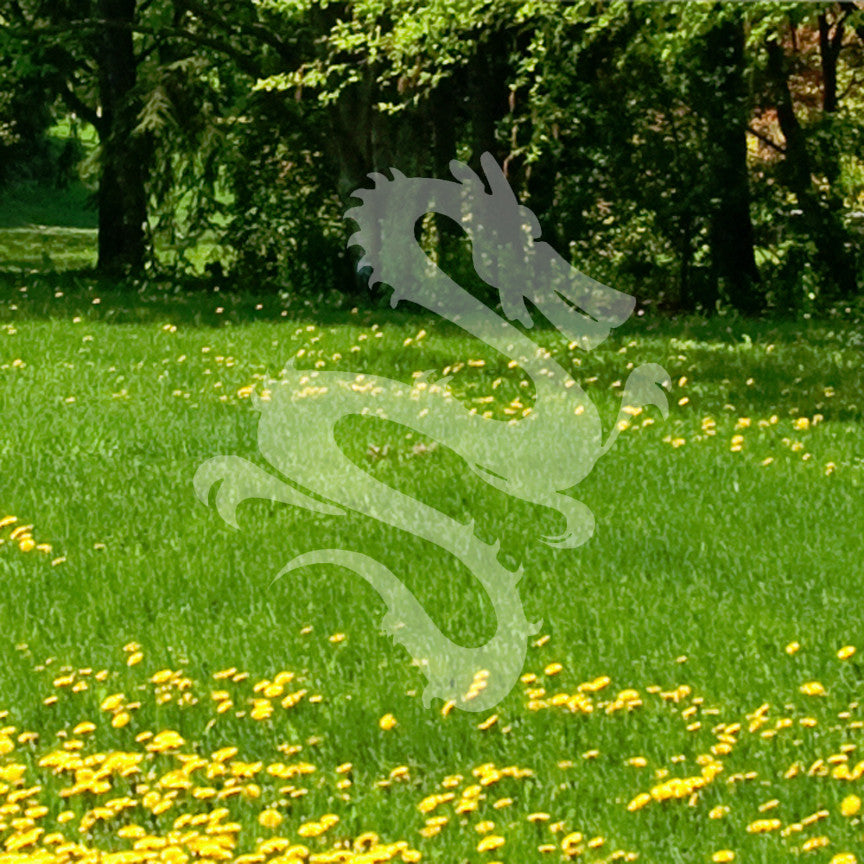 Chinese Dragon