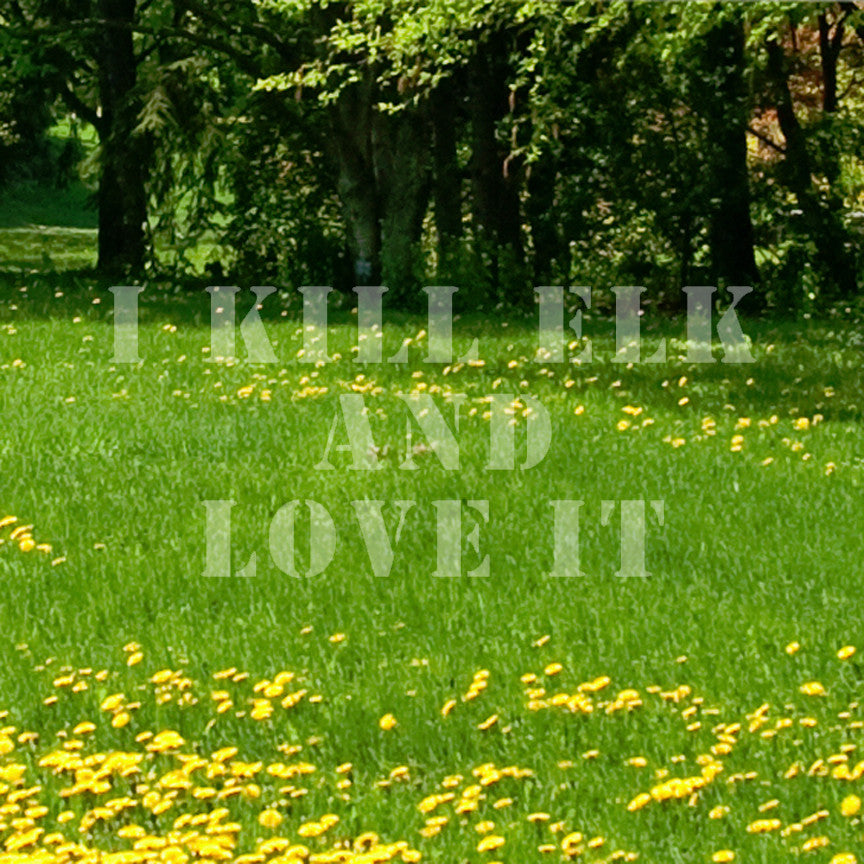 Kill Elk And Love It Hunting