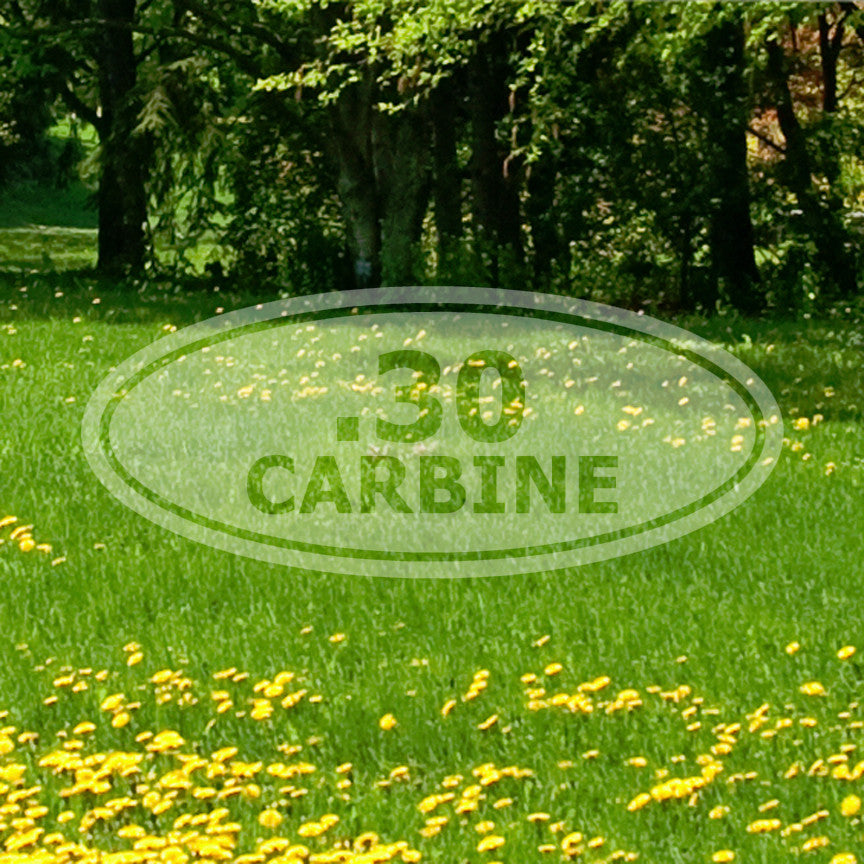 Ammo .30 Carbine Rifle