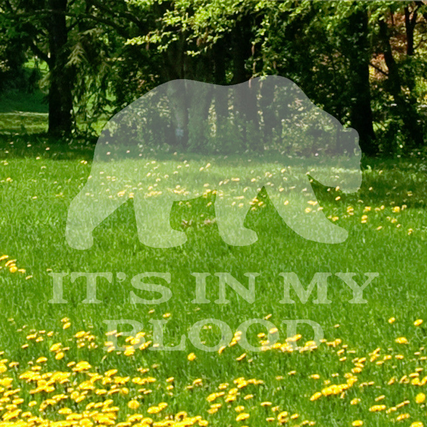 Bear In My Blood Hunting