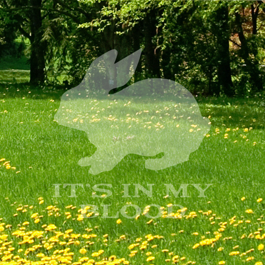 Rabbit In My Blood Hunting