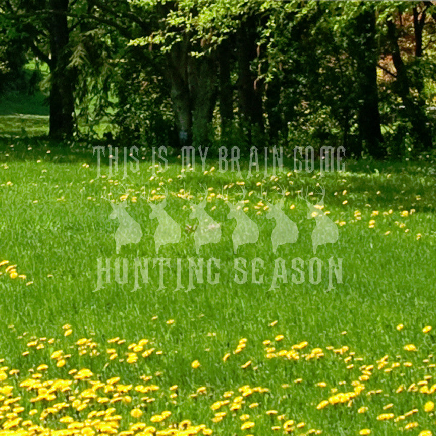 My Brain In Hunting Season