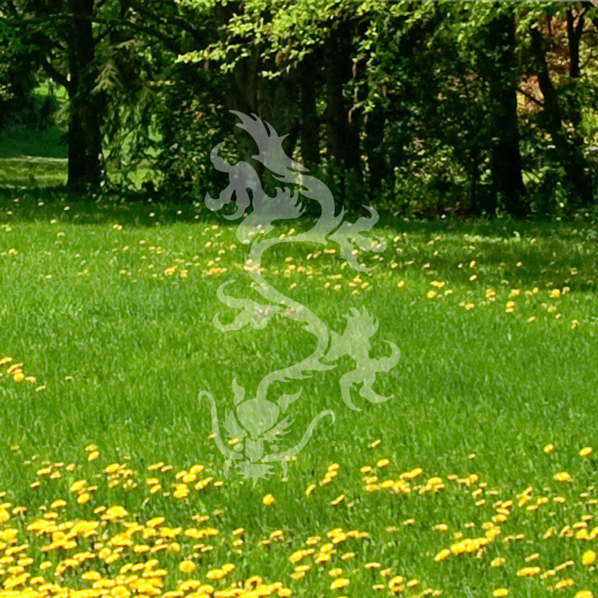 Dragon Chinese