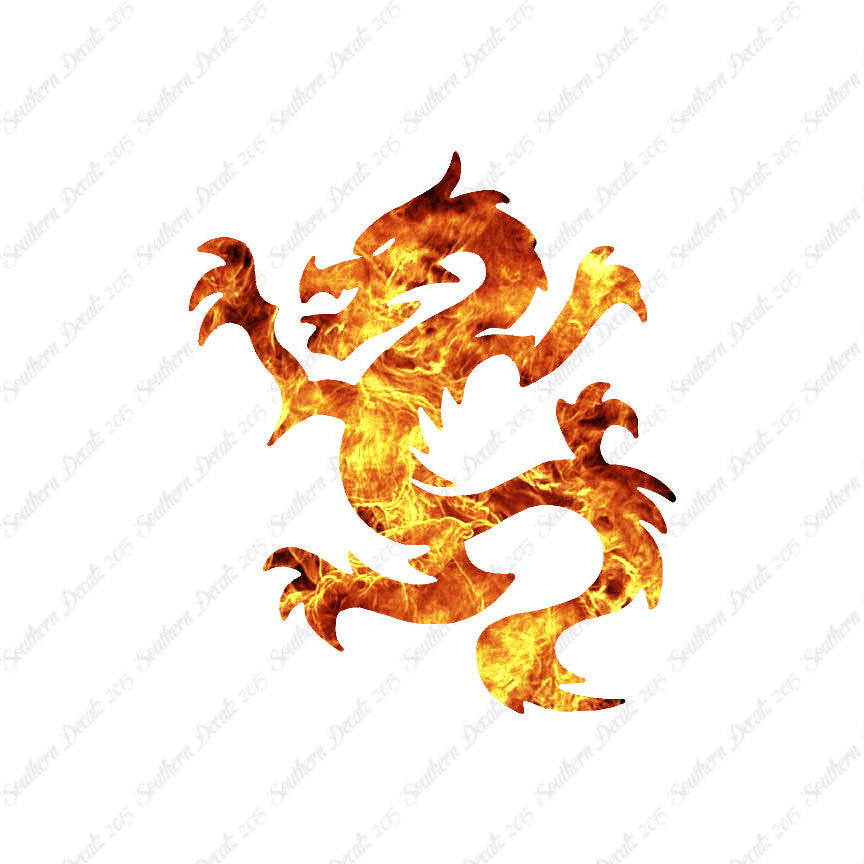 Chinese New Years Dragon