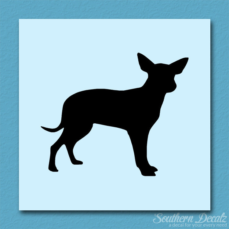 Chihuahua Dog Breed