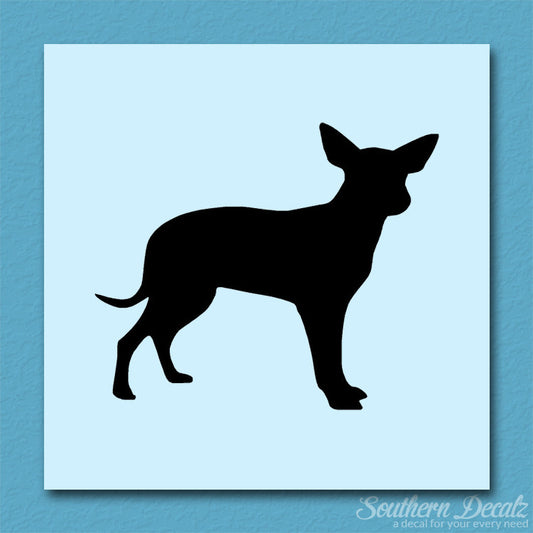 Chihuahua Dog Breed