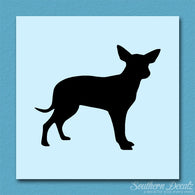 Chihuahua Dog Breed