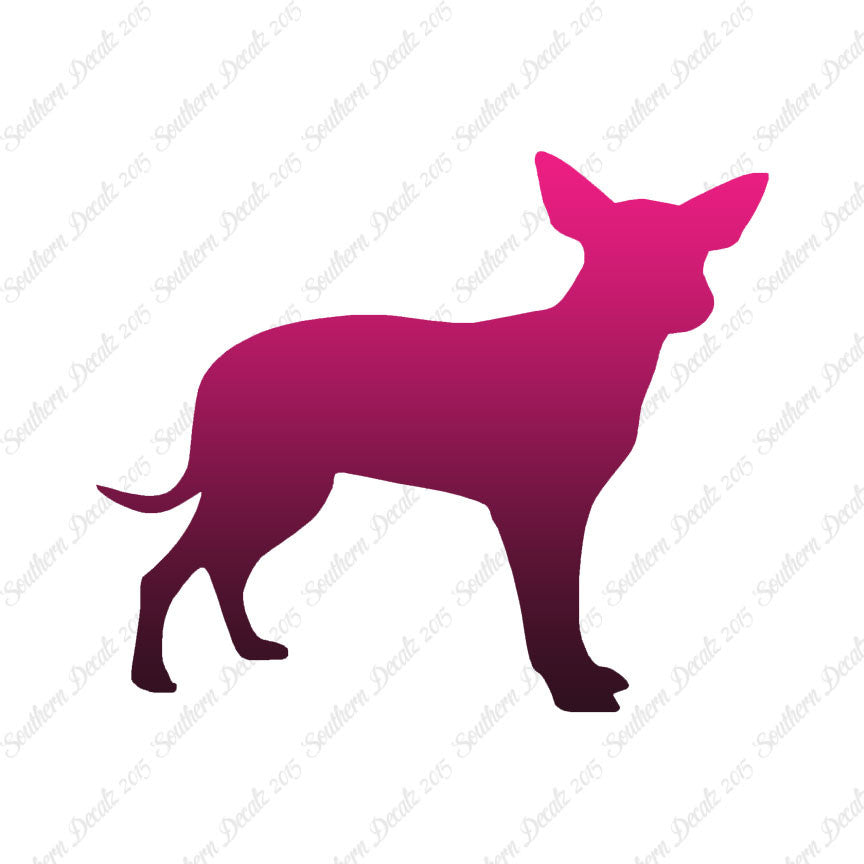 Chihuahua Dog Breed