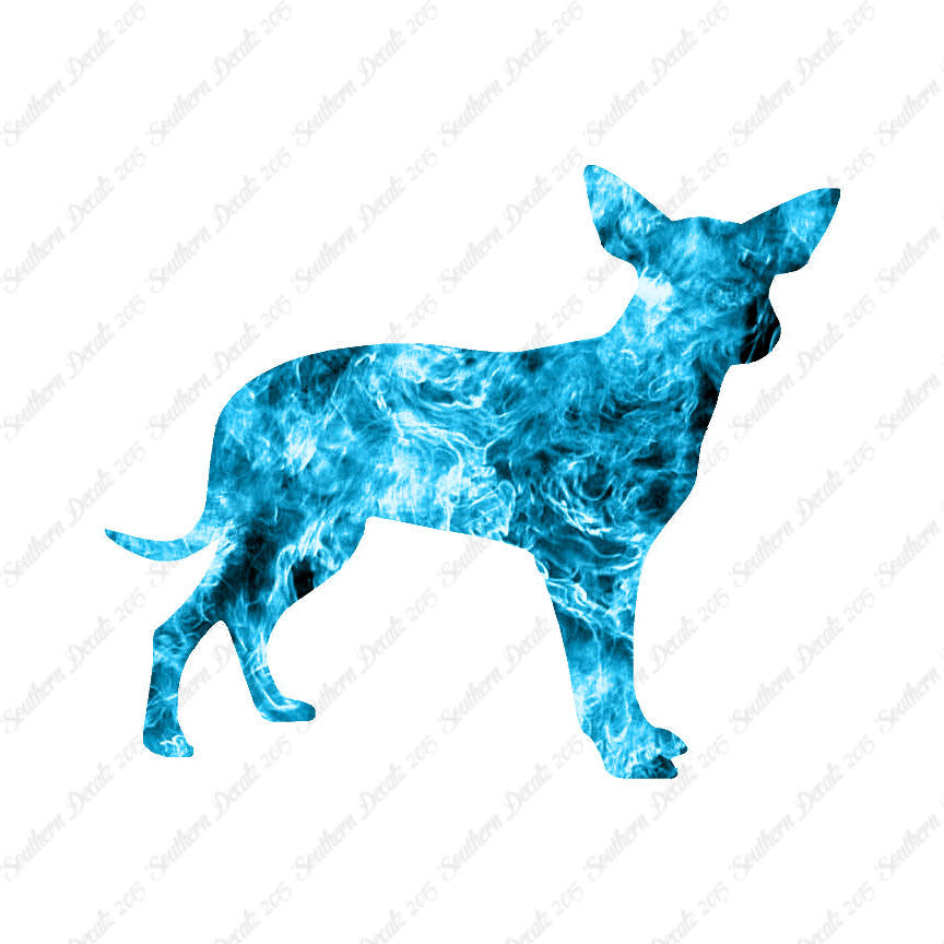 Chihuahua Dog Breed
