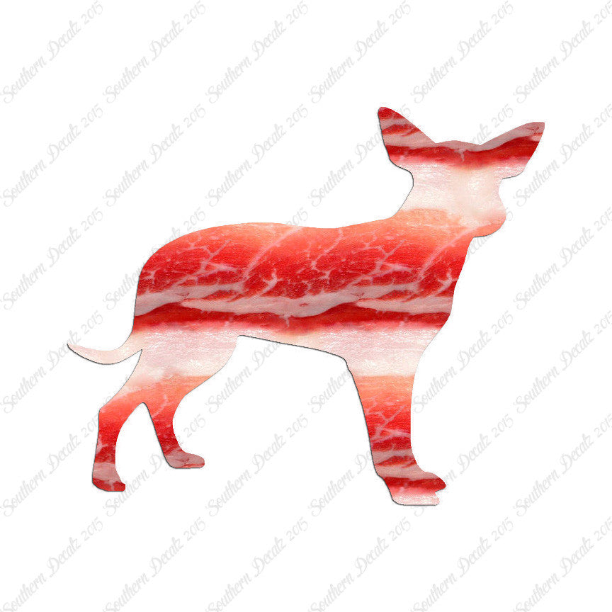 Chihuahua Dog Breed