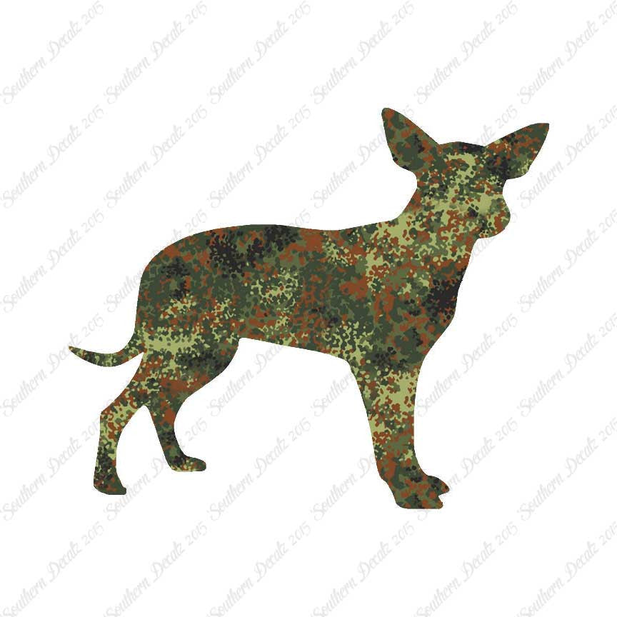 Chihuahua Dog Breed