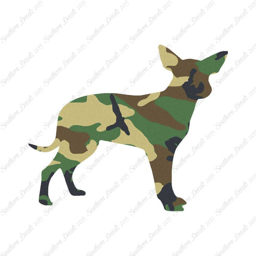 Chihuahua Dog Breed