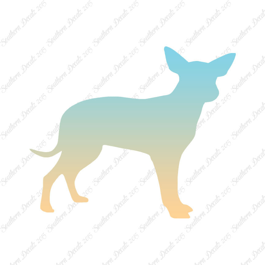 Chihuahua Dog Breed
