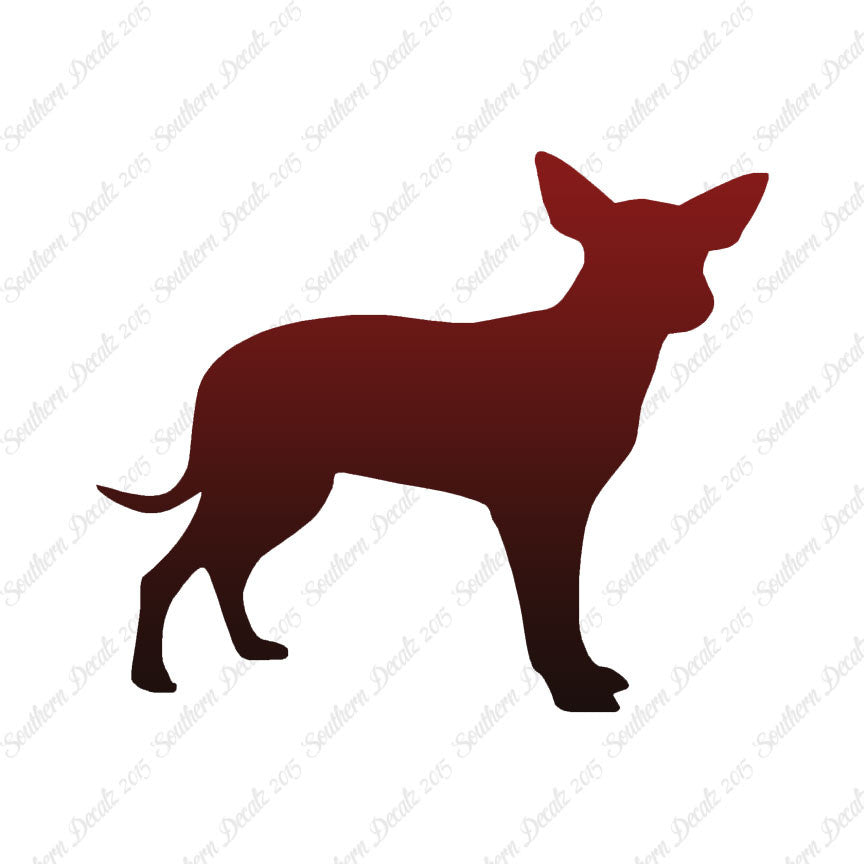 Chihuahua Dog Breed