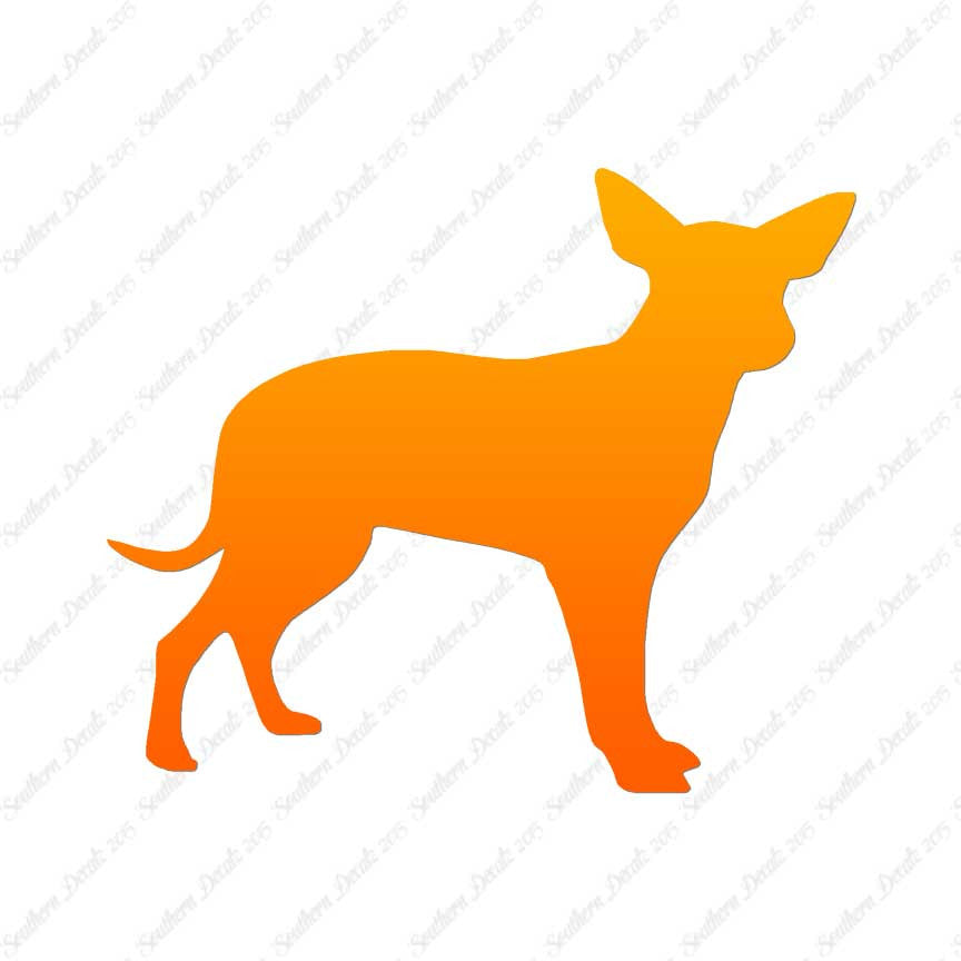 Chihuahua Dog Breed