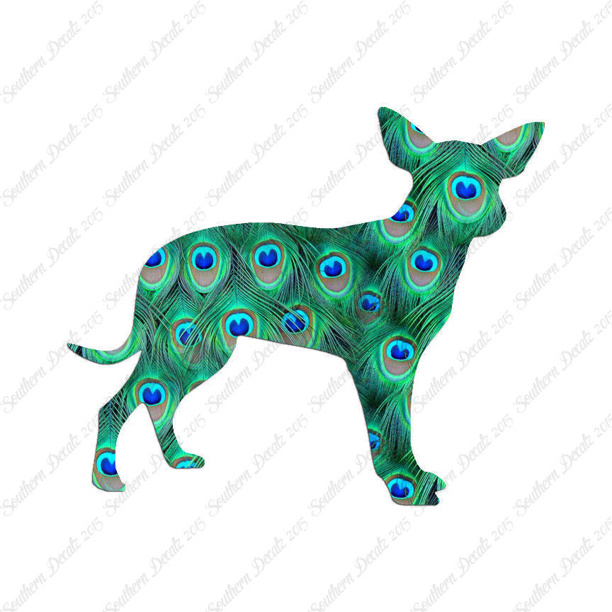 Chihuahua Dog Breed