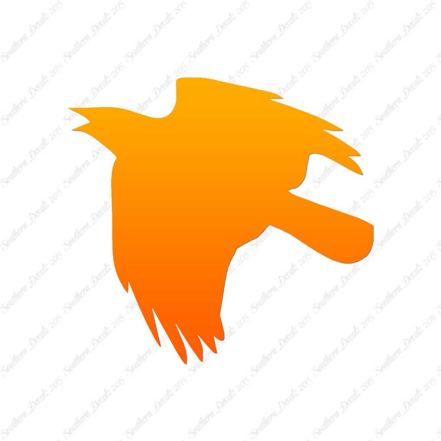 Flying Crow Bird