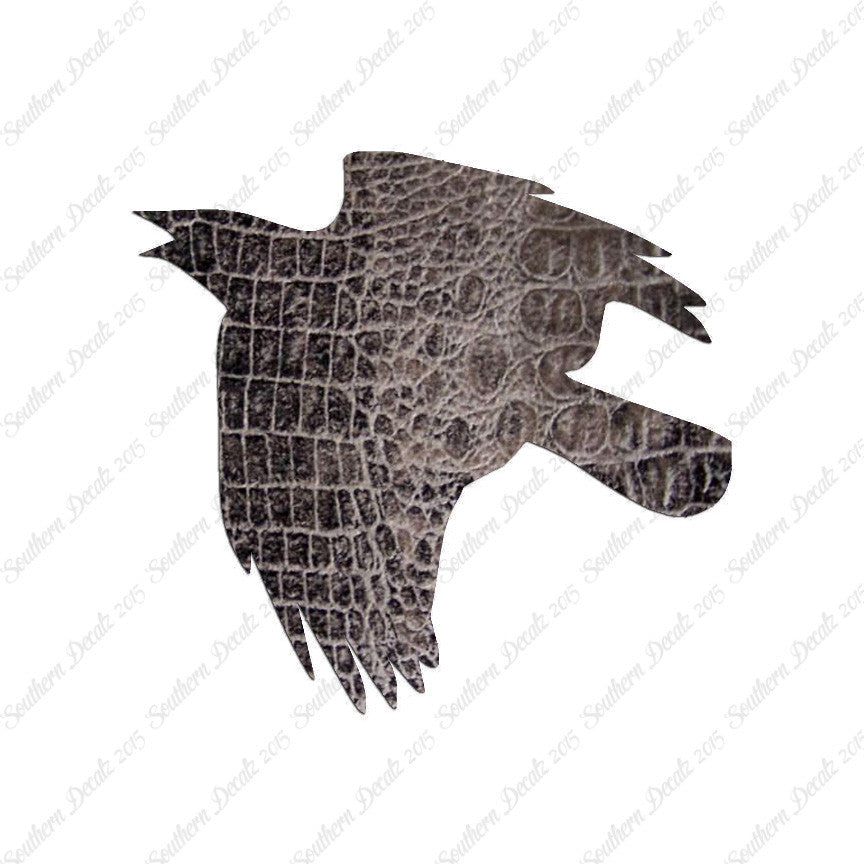 Flying Crow Bird