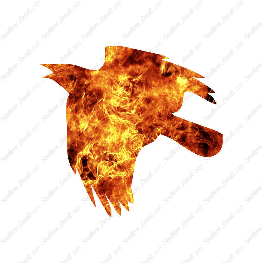 Flying Crow Bird