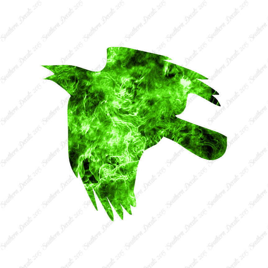 Flying Crow Bird