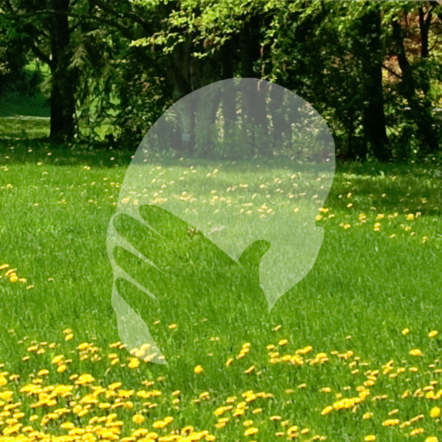 Face Palm Art