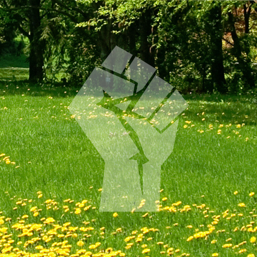 Angry Fist