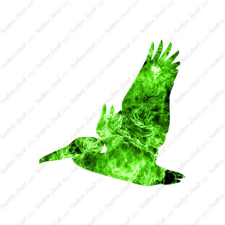 Flying Pelican Bird