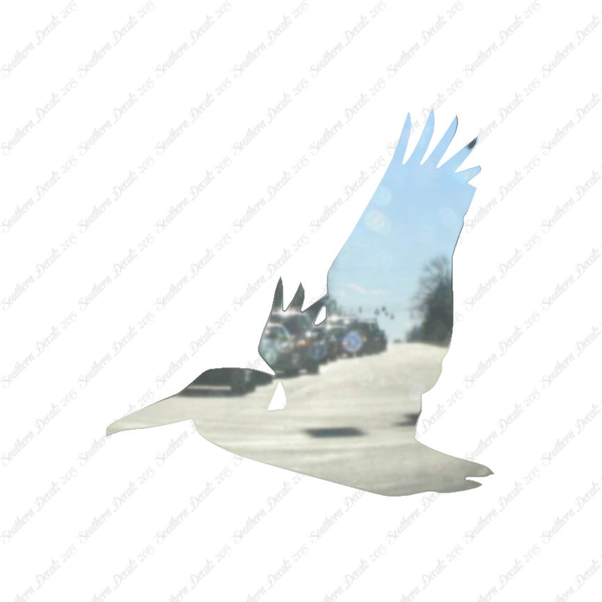 Flying Pelican Bird