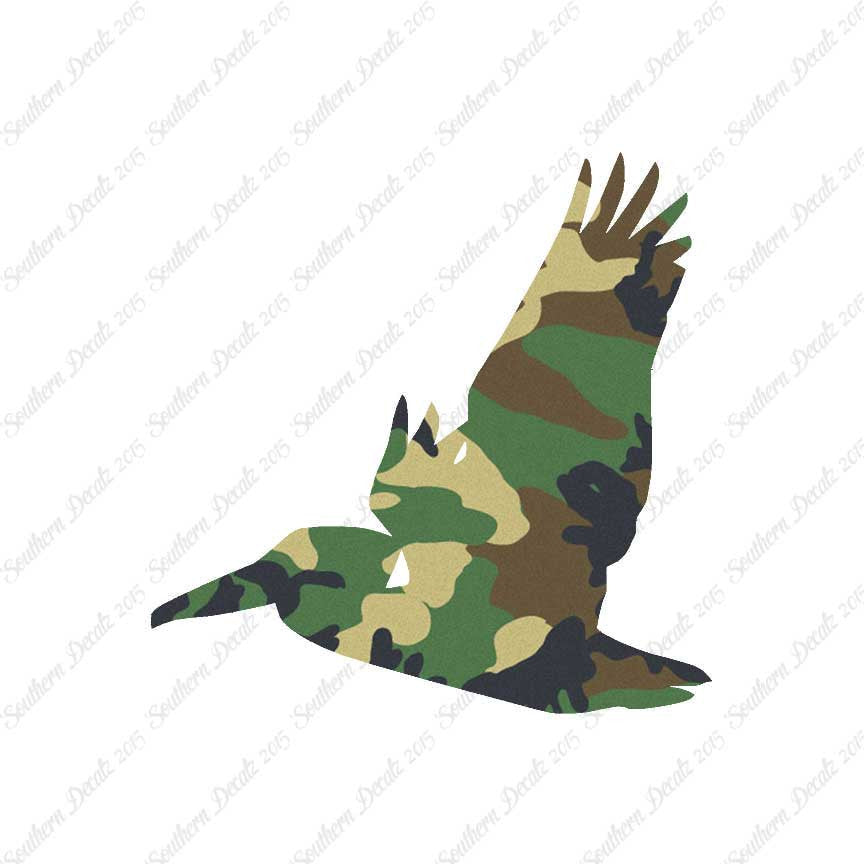 Flying Pelican Bird