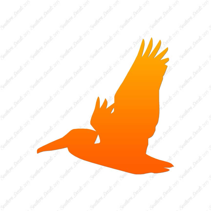 Flying Pelican Bird