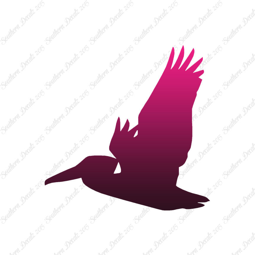 Flying Pelican Bird