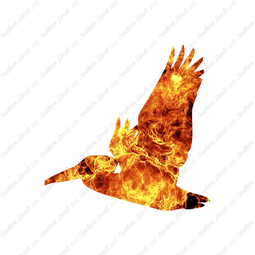 Flying Pelican Bird
