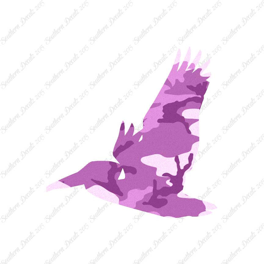 Flying Pelican Bird
