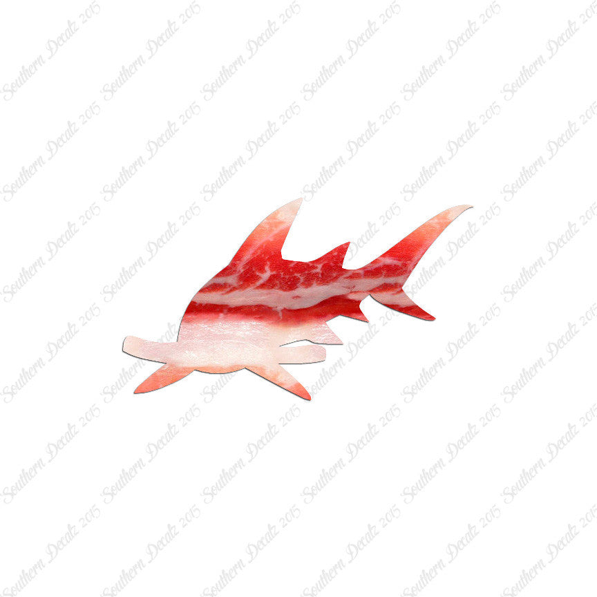 Hammer Head Shark