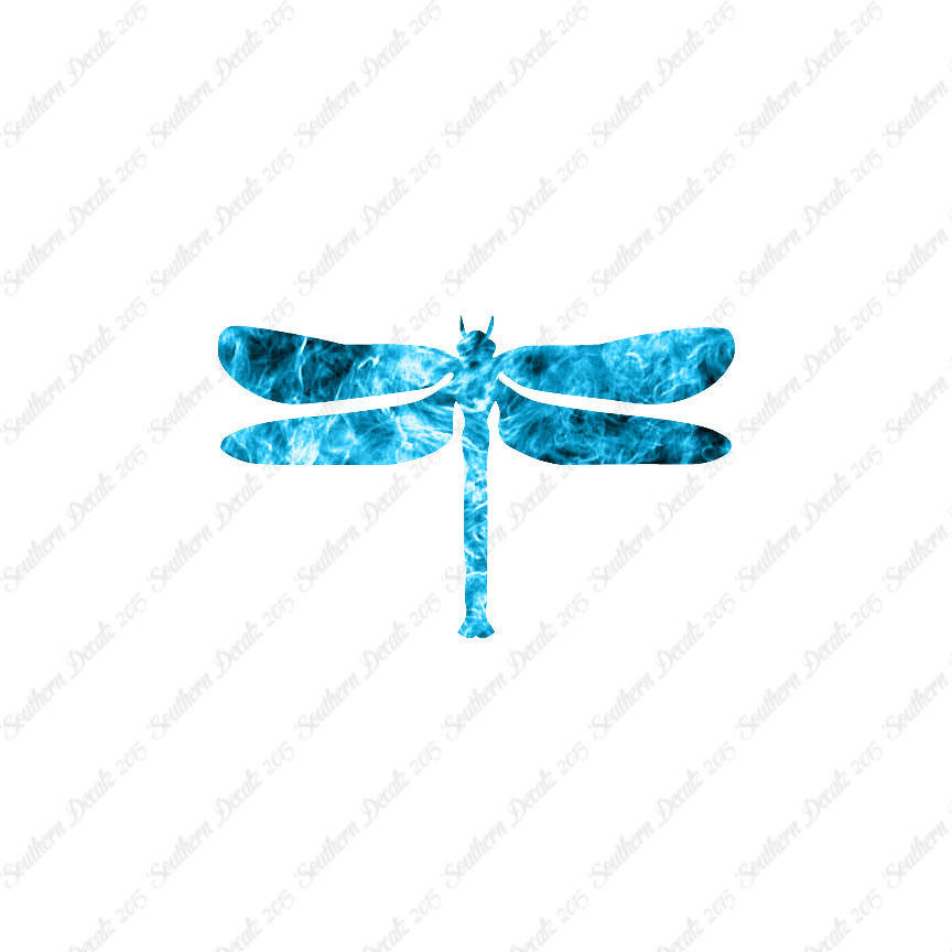 Insect Dragonfly