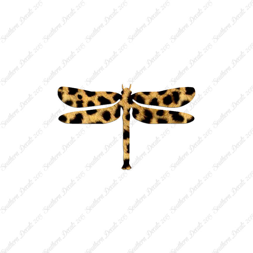 Insect Dragonfly