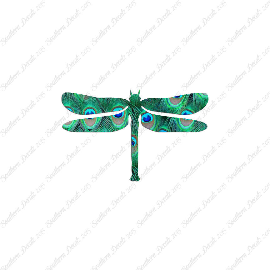 Insect Dragonfly