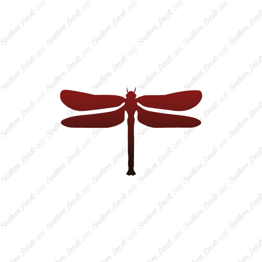 Insect Dragonfly
