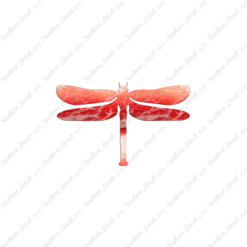 Insect Dragonfly