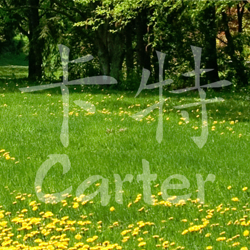 Chinese Name Symbols "Carter"