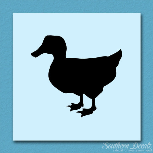 Duck Mallard