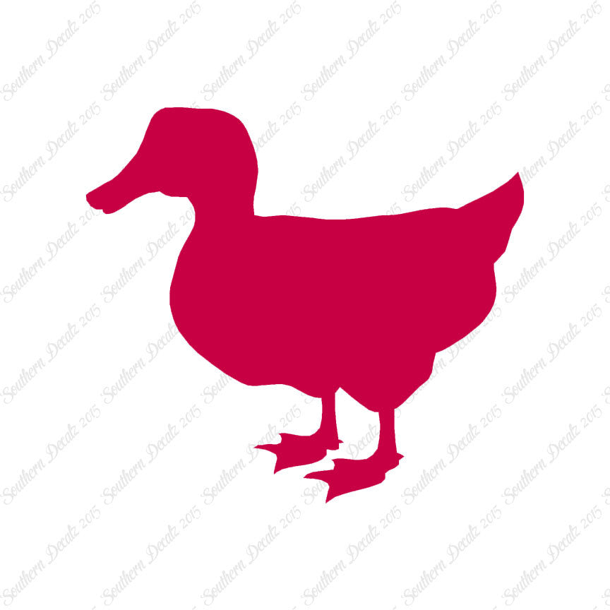 Duck Mallard