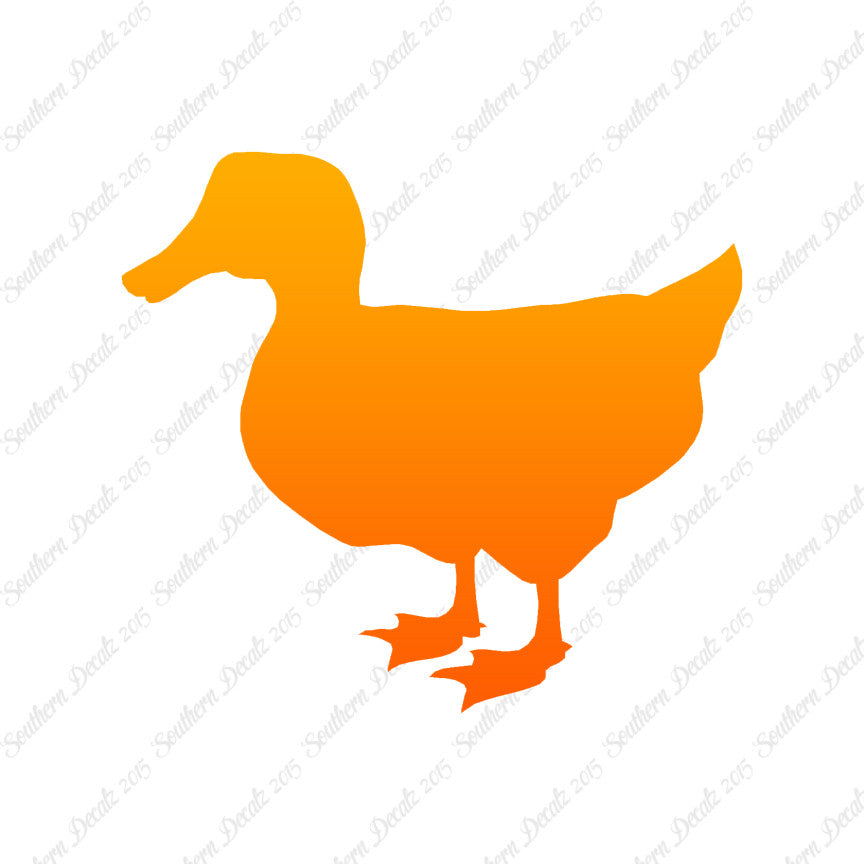 Duck Mallard